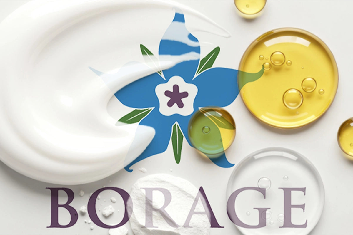 Decorative ceramic items with a floral design and 'Borage' branding on a white background.