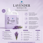 BORAGE Lavender Massage Oil 5 L anatomy and product guide